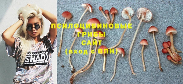 бошки Алзамай