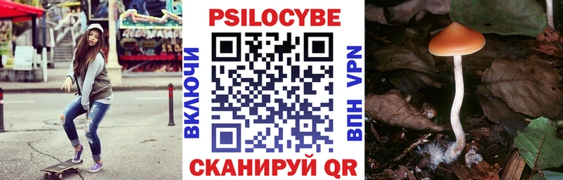 Псилоцибиновые грибы ЛСД  Темников 